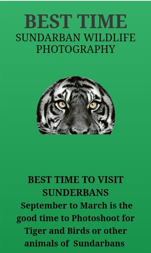 BEST TIME VISIT SUNDARBAN 1 Night 2 Days Sundarban