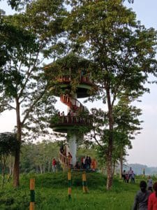 Dooars Package 4 Nights 5 Days