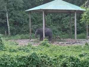 3 Nights Dooars Package