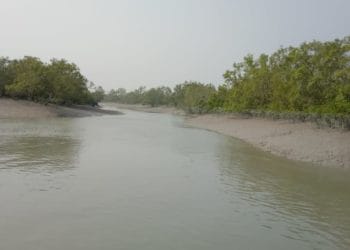 sundarban Bonnie camp Kalas Island