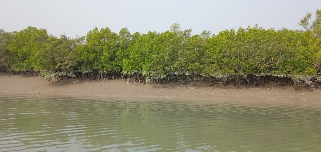 trip to sundarbans photo one day sundarban tour