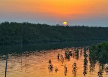 SUNDARBAN OFFBEAT TOUR SUNDARBAN OFFBEAT TOUR