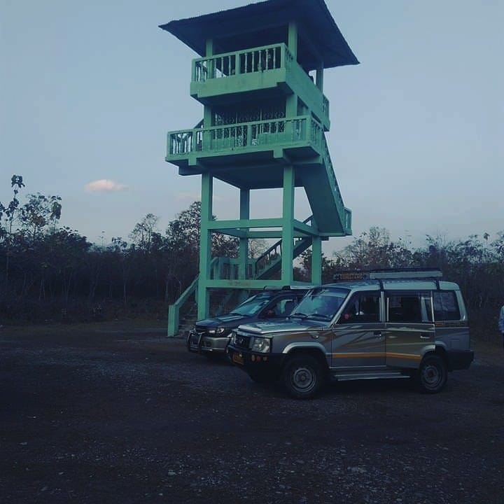 dooars tour package cost