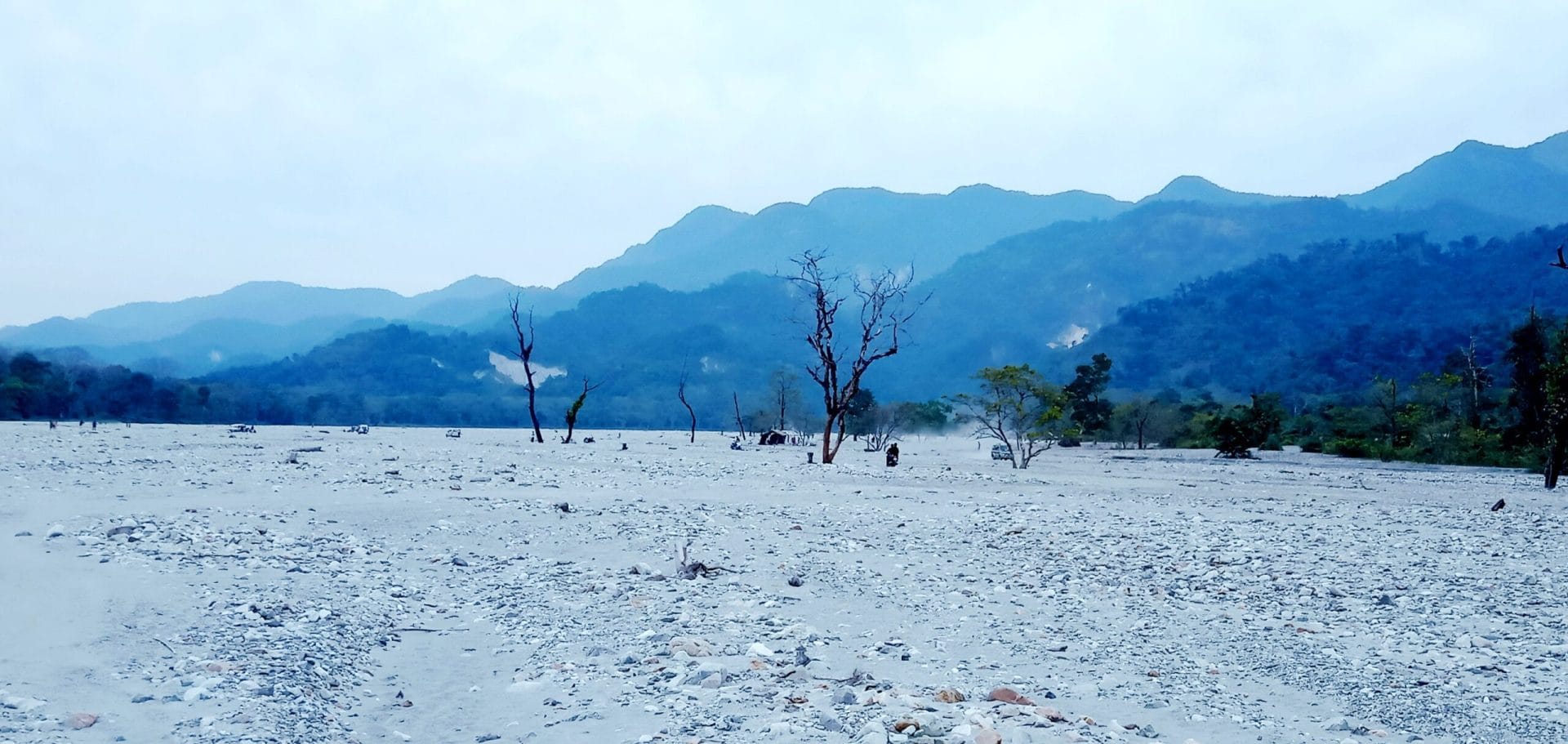 Buxa Jayanti Jaldapara Tour package