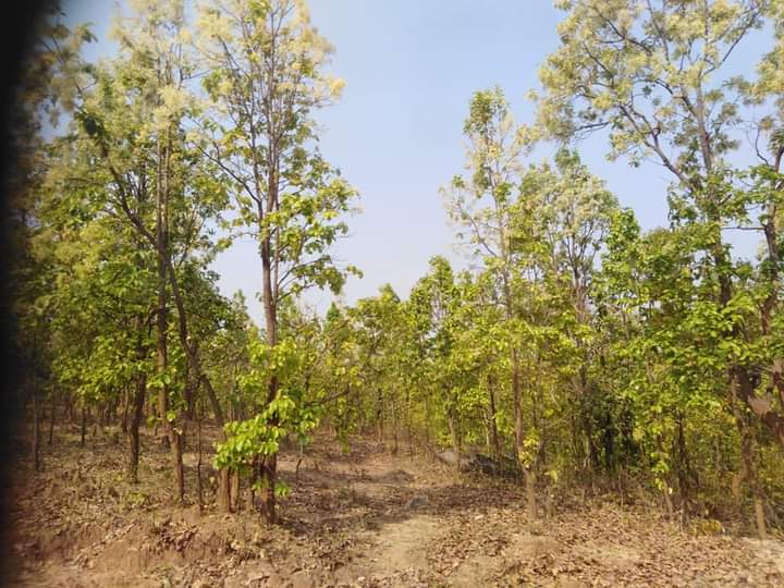 purulia tour package 2 nights 3 days