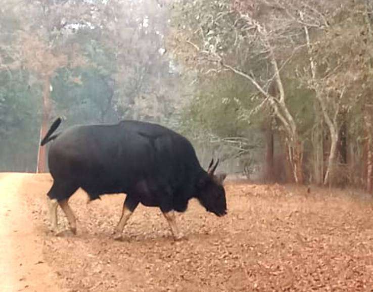 Jharkhand tour Package