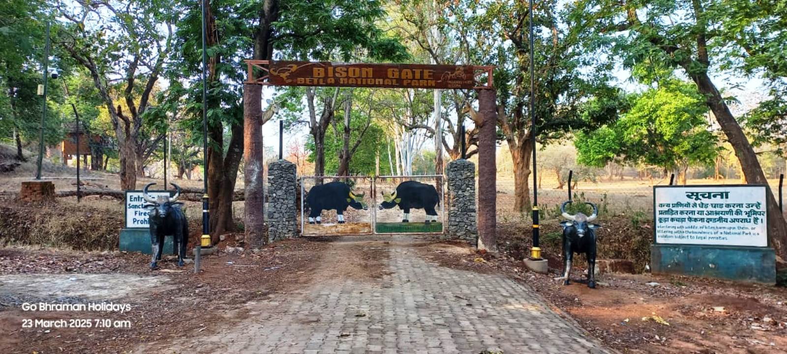 ranchi netarhat betla package