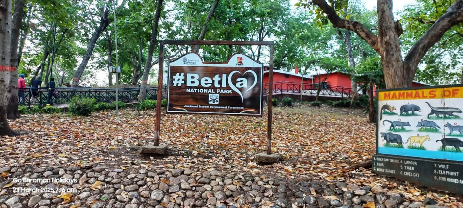 betla package RANCHI NETARHAT BETLA PACKAGE