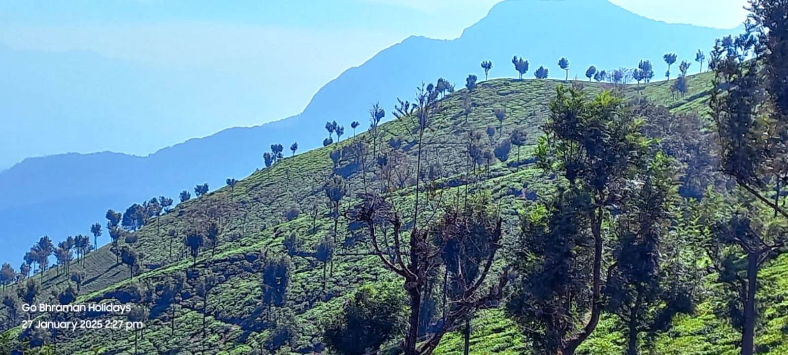 Ooty Mysore Package From Kolkata