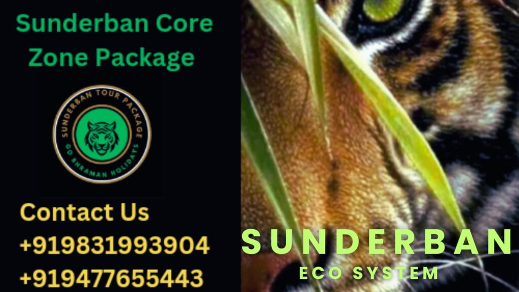 sundarban package cost