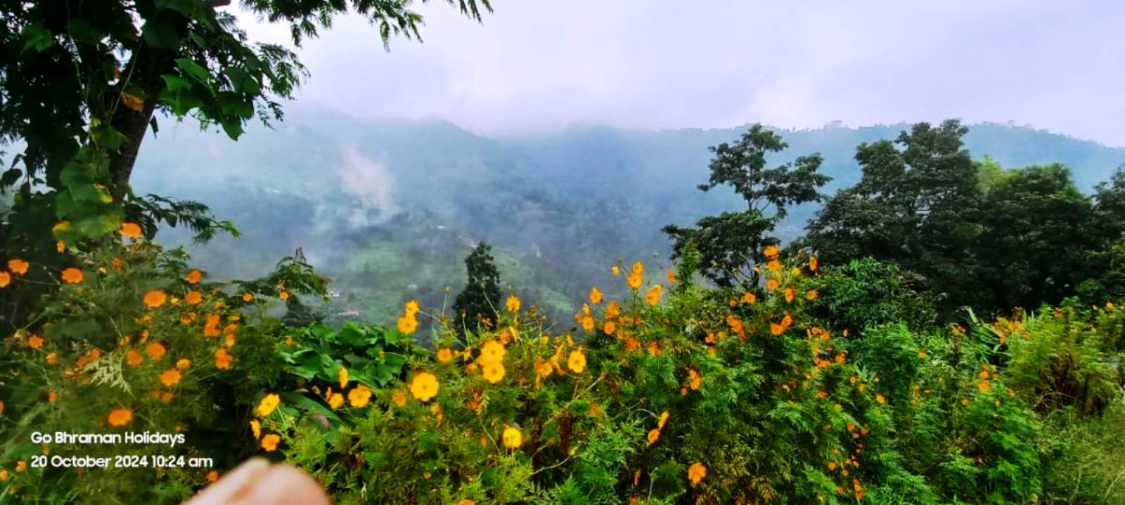 north bengal Tour package