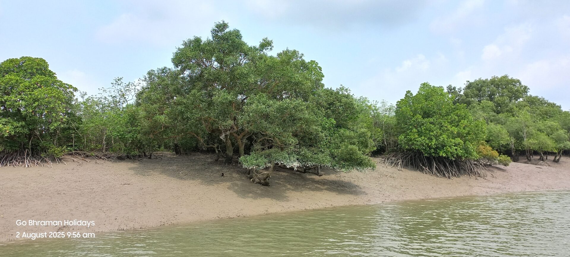Sundarban 3 night tour