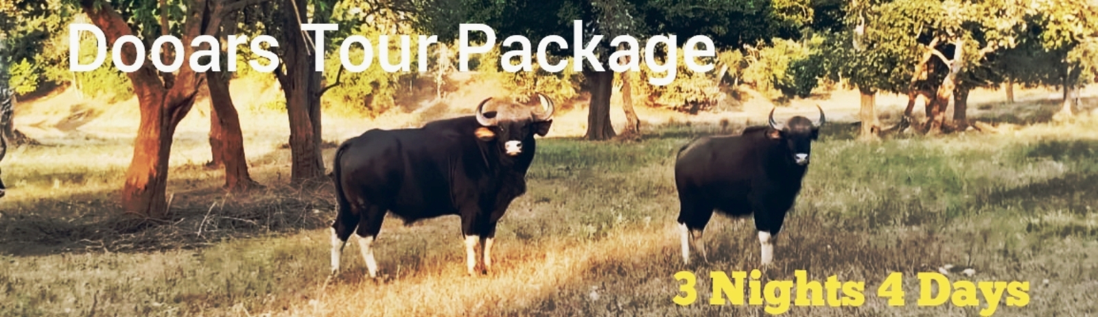 dooars tour package 3 nights 4 days