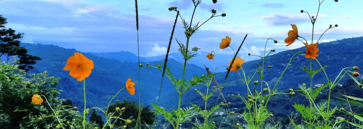 east and north sikkim tour east and north sikkim tour package