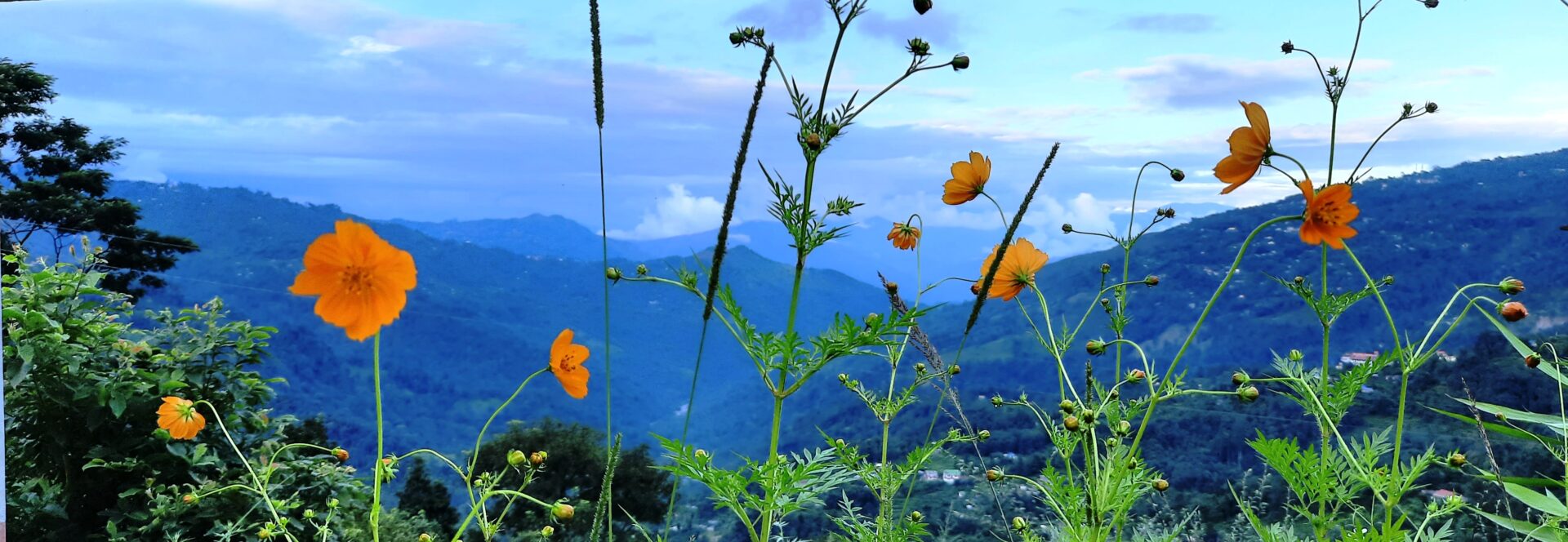 east and north sikkim tour package