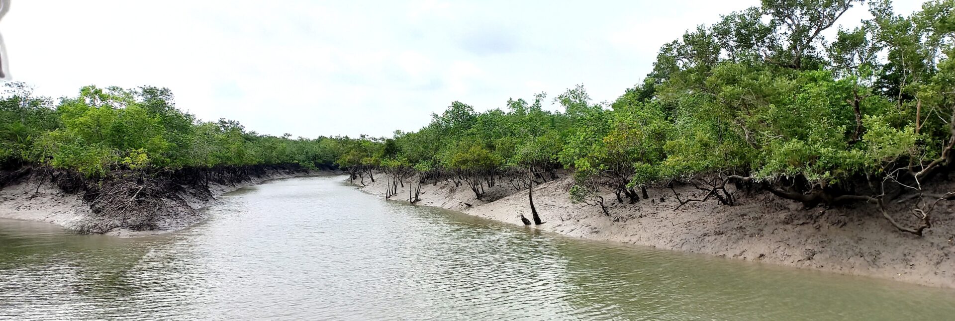 sundarban tour from kolkata