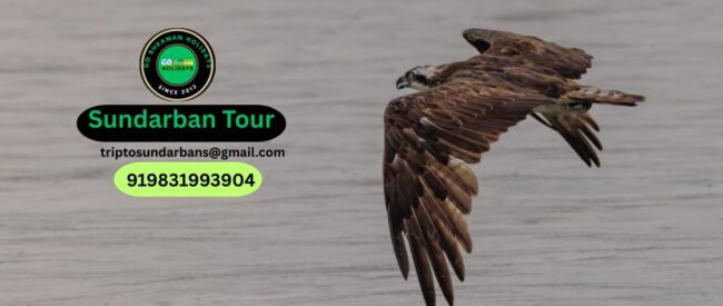Sundarban Photography Tour Sundarban Photography Tour