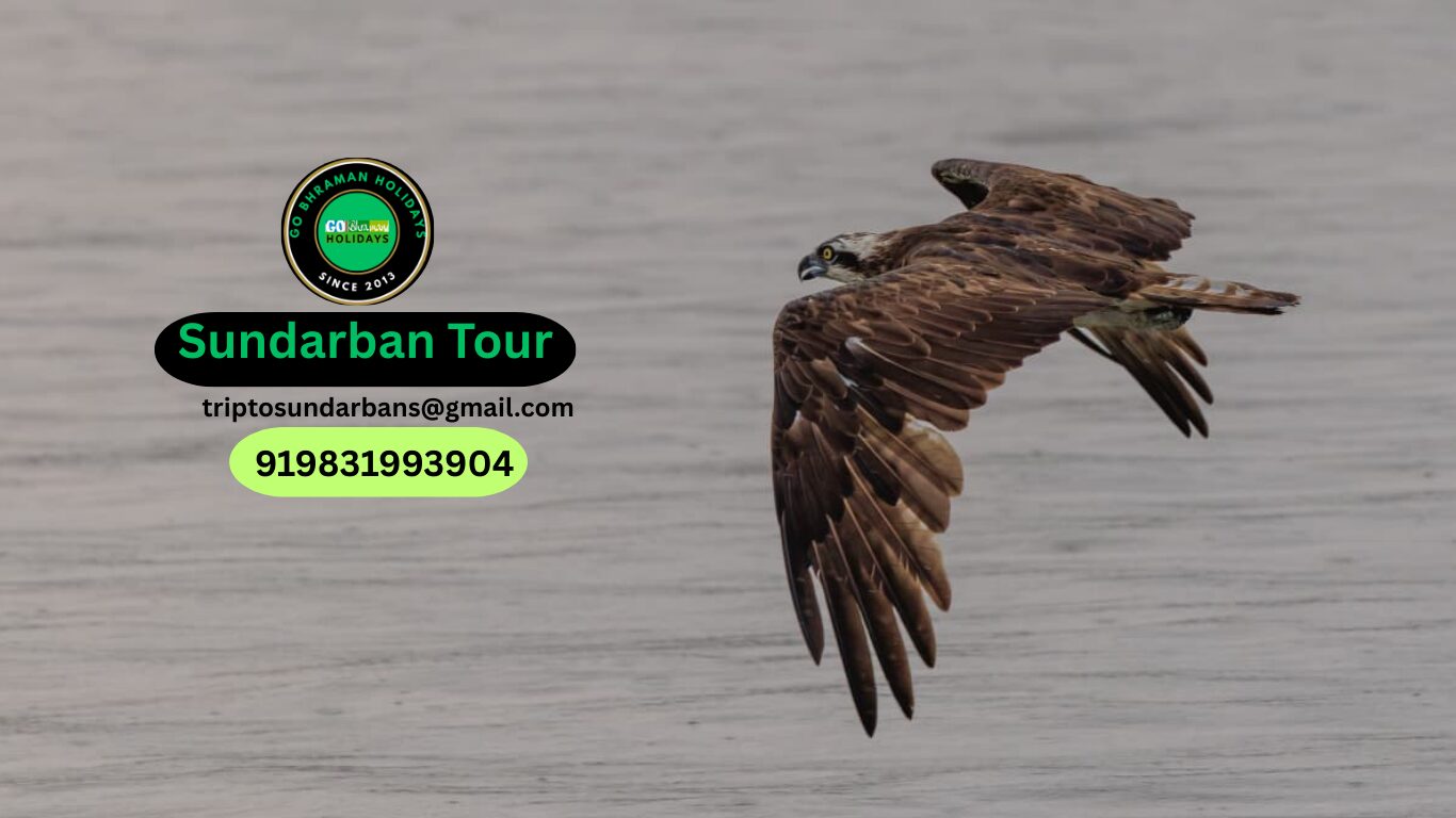 Sundarban Photography Tour Sundarban Photography Tour