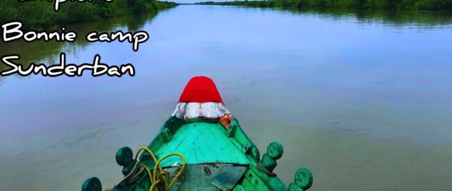 sSundarban Package 1 Night 2 Days sSundarban Package 1 Night 2 Days