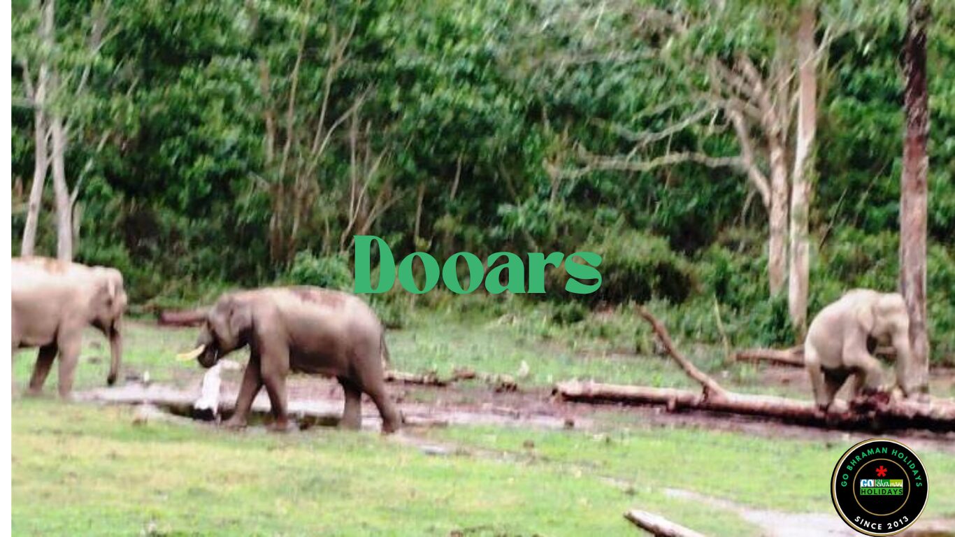 Dooars 3 days plan Dooars 3 days plan