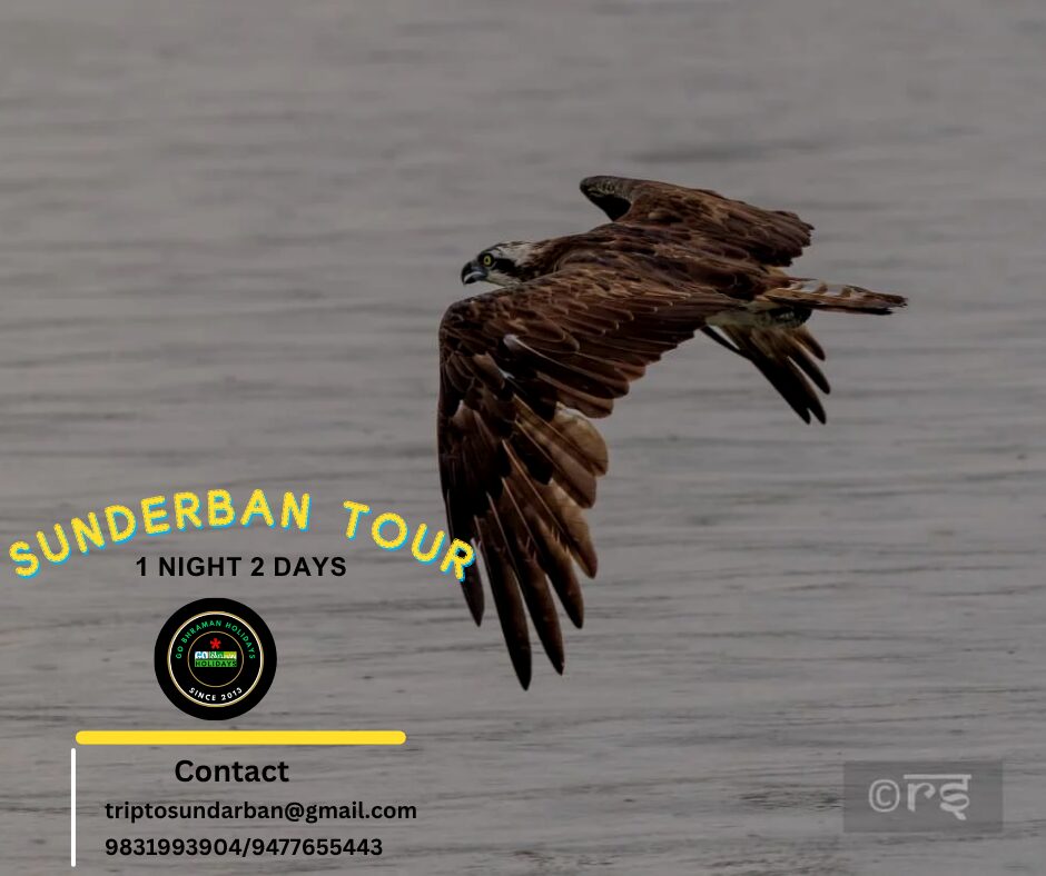 Sunderban tour 1 night 2 days