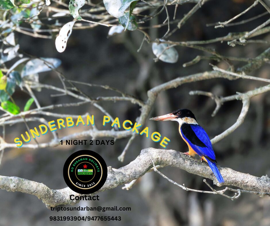 sundarban package 1 night 2 days