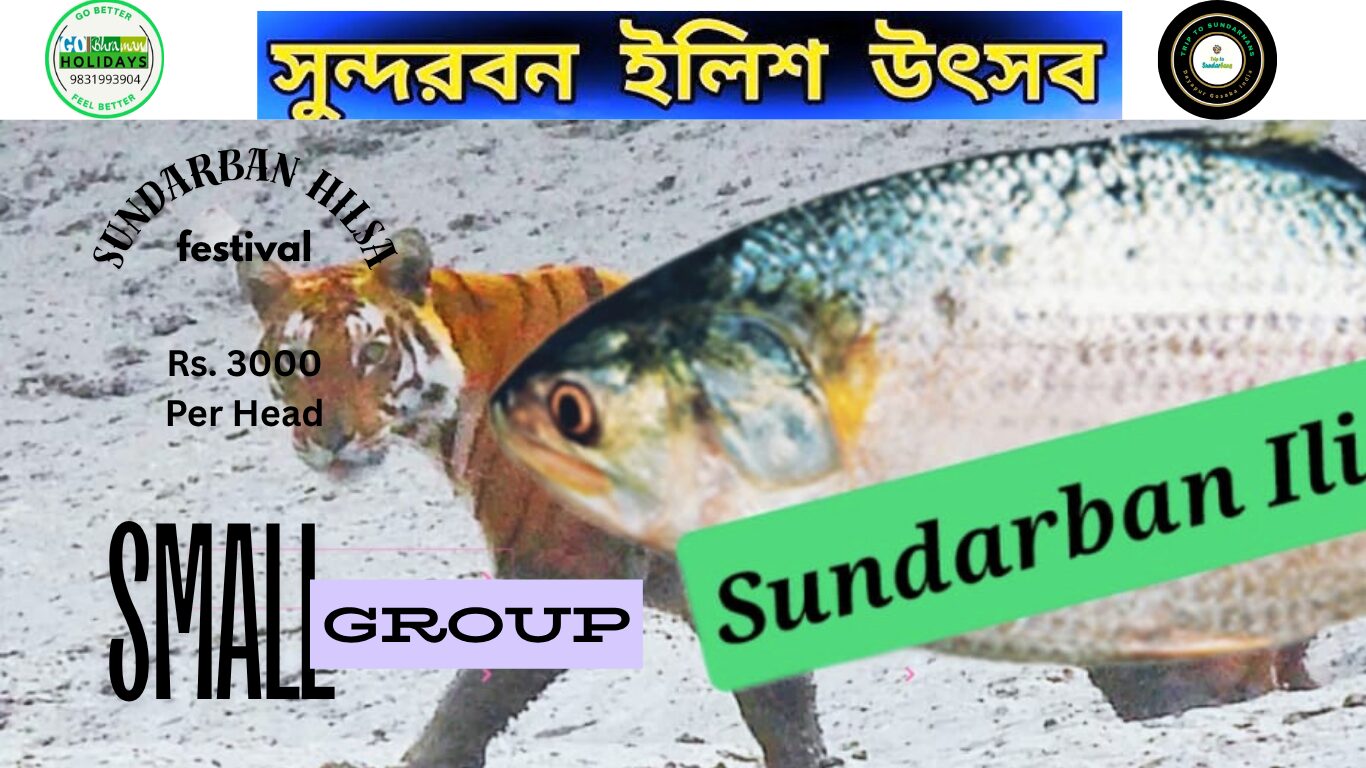 Sundarban hilsa festival from Canning Sundarban Hilsa Festival from Canning