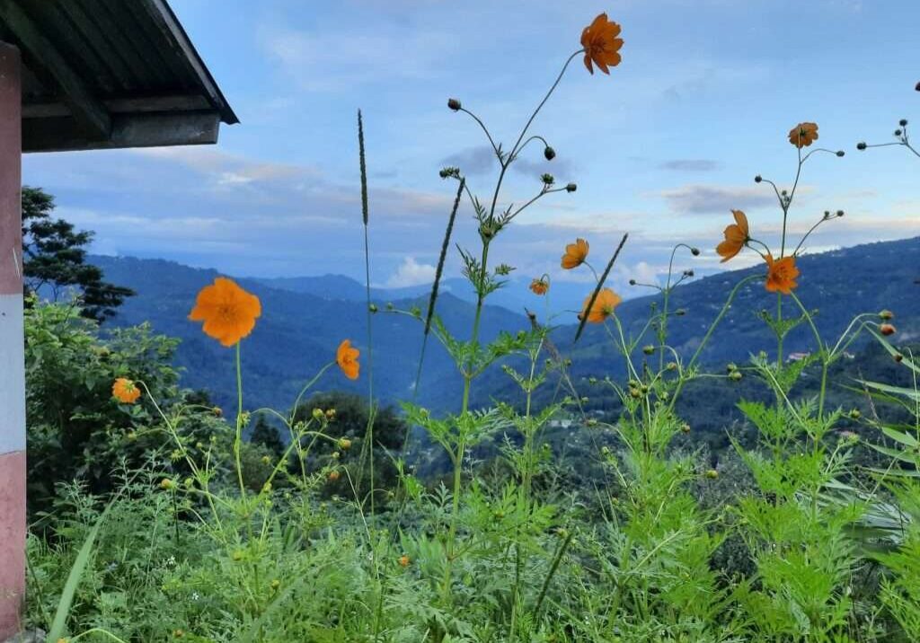north bengal package cost
