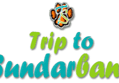 sundarban tour package sundarban tour package